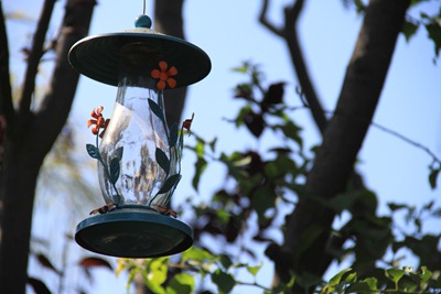 painted hummingbird feeder